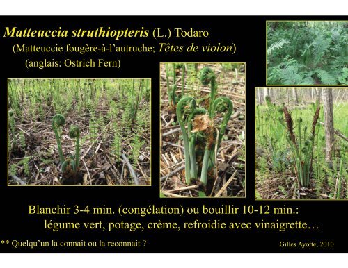 Plantes comestibles - Université Laval