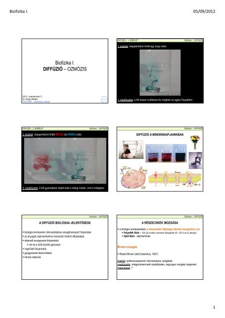 Biofizika I. DIFFÚZIÓ – OZMÓZIS - Biofizikai Intézet
