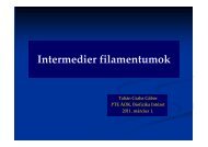 Microsoft PowerPoint - Intermedier filamentumok [Kompatibilis m\363d]