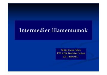 Microsoft PowerPoint - Intermedier filamentumok [Kompatibilis m\363d]