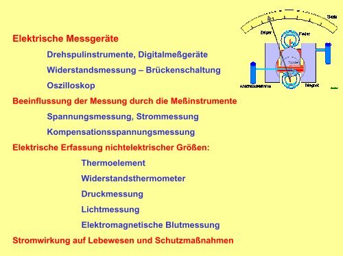 R - Biologische Physik