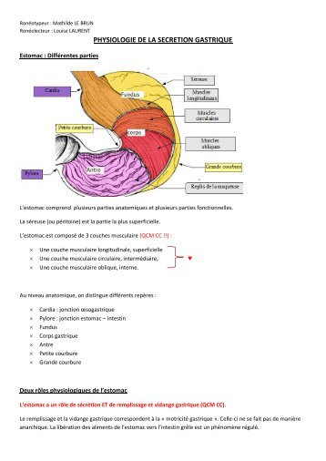 physiologie de la secretion gastrique - Cours L3 Bichat 2012-2013