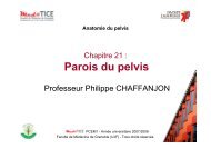 Professeur Philippe CHAFFANJON