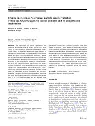 Cryptic species in a Neotropical parrot - Department of Biology ...