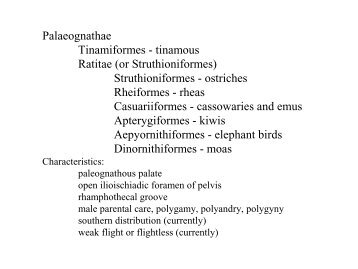 Classification 1: Palaeognathae and Galloanserae.pdf