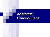 Anatomie fonctionnelle - pdf