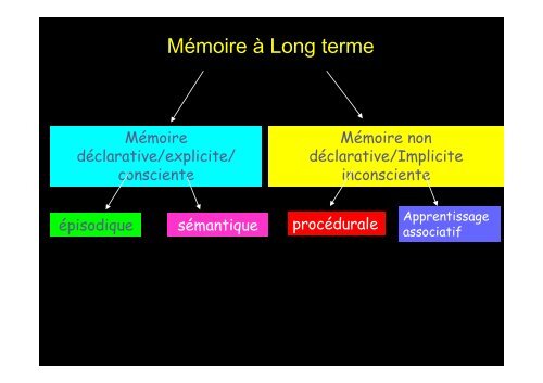 Classification des Démences