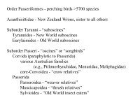 Classification 5: Passeriformes: Acanthisittidae to Paradisaeidae pdf