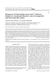 Responses of Cyprinodon maya and C. labiosus females to visual ...