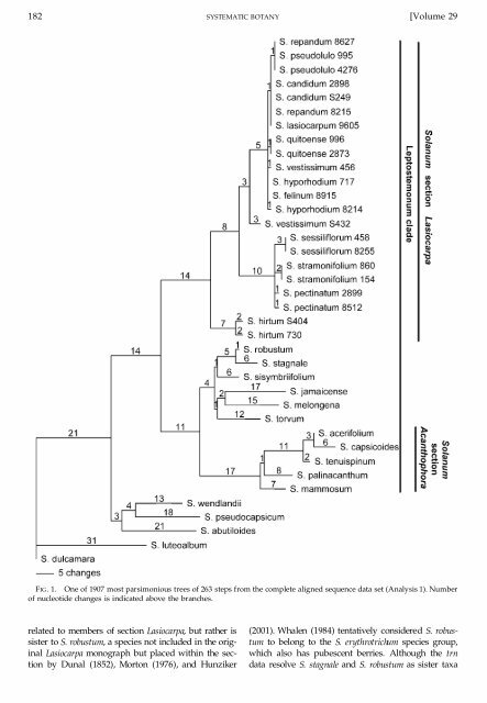 A Chloroplast DNA Phylogeny of Solanum Section Lasiocarpa