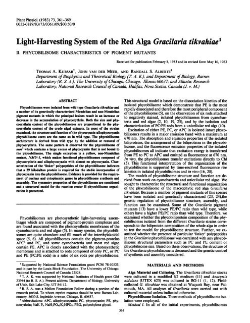Light-Harvesting System of the Red Alga Gracilaria tikvahiae'