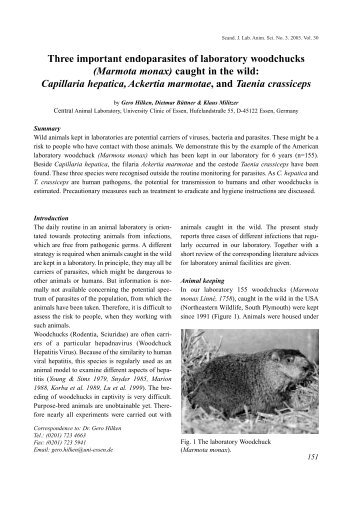 Three important endoparasites of laboratory woodchucks (Marmota