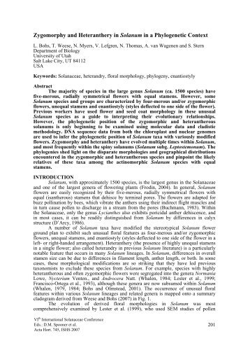 Zygomorphy and heterandry in Solanum in a phylogenetic context