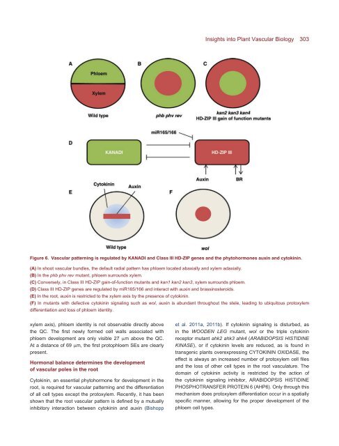 The Plant Vascular System: Evolution, Development and FunctionsF