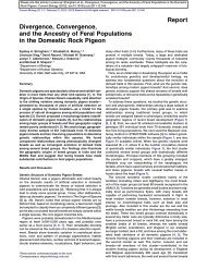 Divergence, Convergence, and the Ancestry of ... - University of Utah