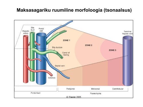 KÕHUNÄÄRME JA MAKSA HAIGUSED