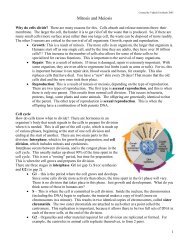 Mitosis and Meiosis - Biology