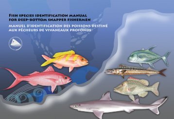 Fish species identification manual for deep-bottom snapper ...