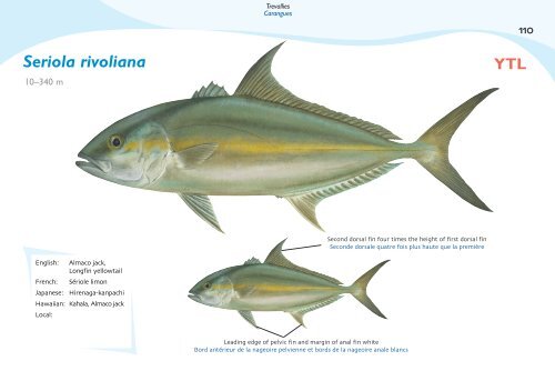 Fish species identification manual for deep-bottom snapper ...