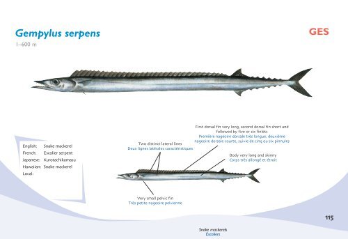 Fish species identification manual for deep-bottom snapper ...