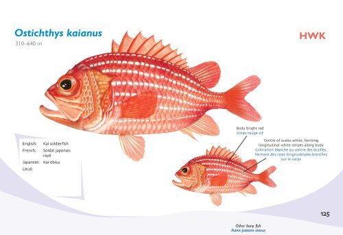 Fish species identification manual for deep-bottom snapper ...