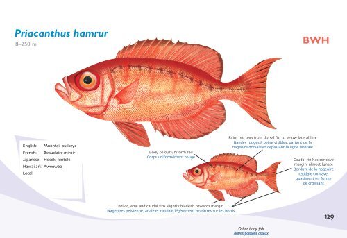 Fish species identification manual for deep-bottom snapper ...