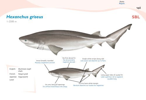 Fish species identification manual for deep-bottom snapper ...