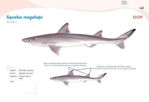 Fish species identification manual for deep-bottom snapper ...