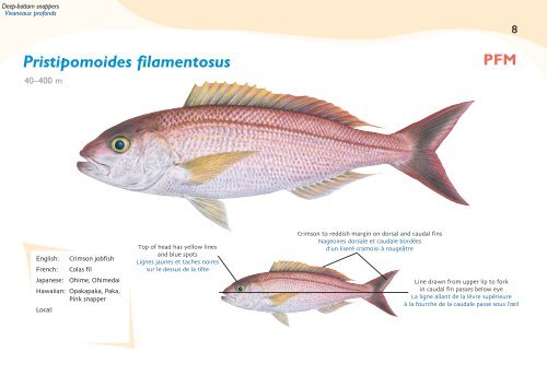 Fish species identification manual for deep-bottom snapper ...