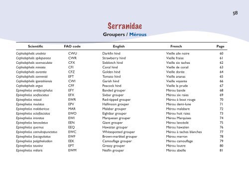 Fish species identification manual for deep-bottom snapper ...