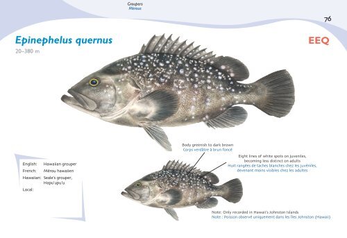 Fish species identification manual for deep-bottom snapper ...