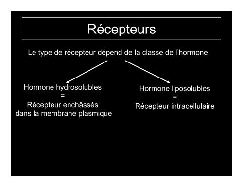 Système endocrinien