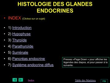 HISTOLOGIE DES GLANDES ENDOCRINES - epathologies