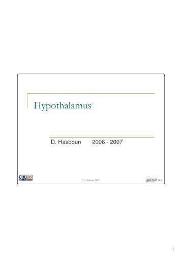Hypothalamus - Free