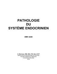 PATHOLOGIE DU SYSTÈME ENDOCRINIEN - Faculté de médecine ...