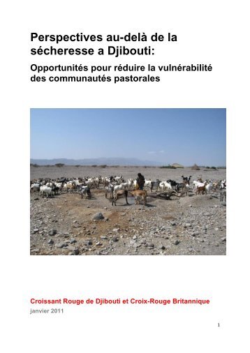 Perspectives au-delà de la sécheresse a Djibouti: - Disaster risk ...