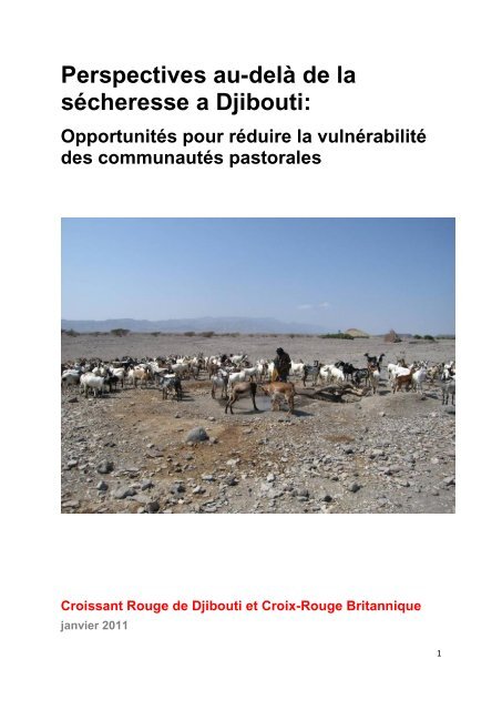 Perspectives au-delà de la sécheresse a Djibouti: - Disaster risk ...