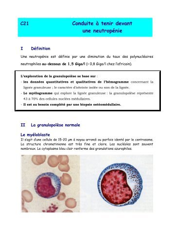 Conduite à tenir devant une neutropénie - Fédération Leucémie ...