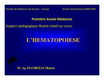 CFU-E proérythroblaste Érythroblastes basophiles I - Médecine et ...