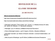 Histologie de la glande thyroide