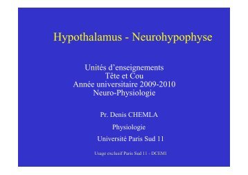 Hypothalamus - Neurohypophyse