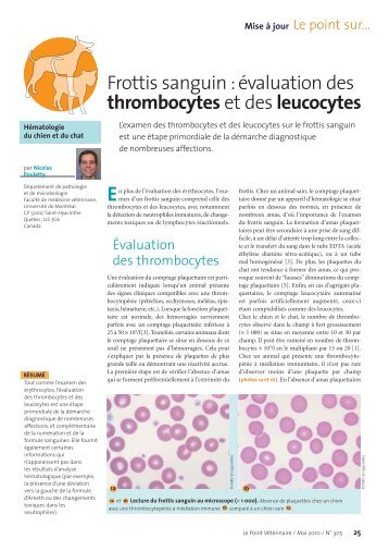 Frottis sanguin : évaluation des thrombocytes et ... - VETODIAG