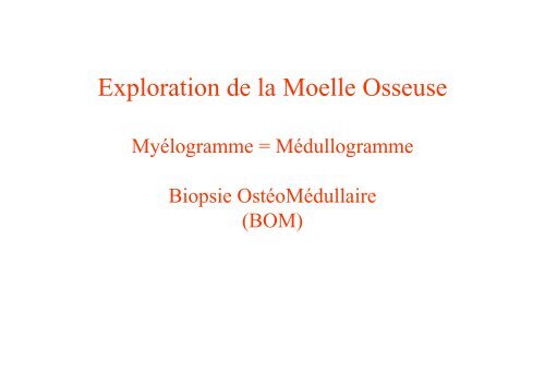 Exploration de la Moelle Osseuse