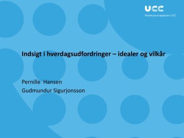 Indsigt i hverdagsudfordringer – idealer og vilkår