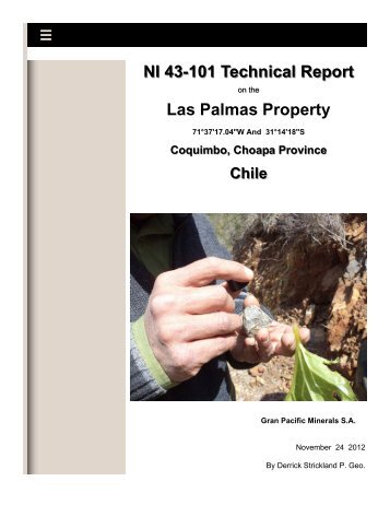 NI 43-101 Technical Report Las Palmas Property - Buyins.net