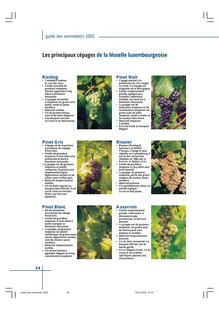 Guide des vins - Horesca