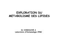 Cours Les lipides médecine exploration et pathlogie