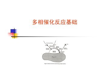 多相催化反应基础