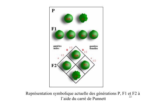 1-Lois de Mendel.pdf