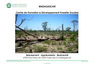 Madagascar_Ecoformation - ETH Weblog Service